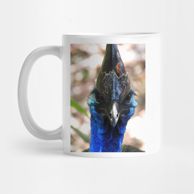 Cassowary by kirstybush